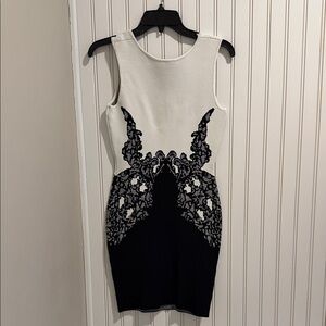 BCBG Black and White Lace Mini Dress